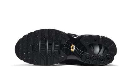 Nike Air Max Plus Triple Black - 604133-050