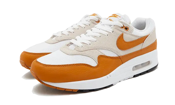 Nike Air Max 1 Bronze