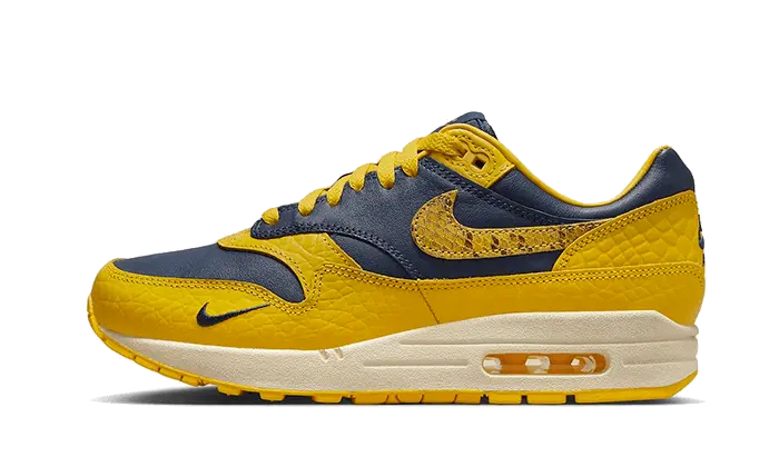 Nike Air Max 1 CO.JP Michigan