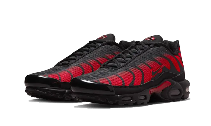 Nike Air Max Plus Bred Reflective